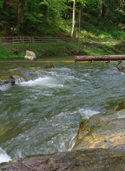 Thundering water in the gorge, ApfelLand Stubenbergsee in Eastern Styria | © Oststeiermark Tourismus | Tourismusverband Oststeiermark | © Oststeiermark Tourismus