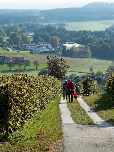 View to the castle Schielleiten, Stubenberg am See in eastern Styria | © Oststeiermark Tourismus | Christian Strassegger | © Oststeiermark Tourismus