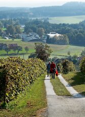 View to the castle Schielleiten, Stubenberg am See in eastern Styria | © Oststeiermark Tourismus | Christian Strassegger | © Oststeiermark Tourismus