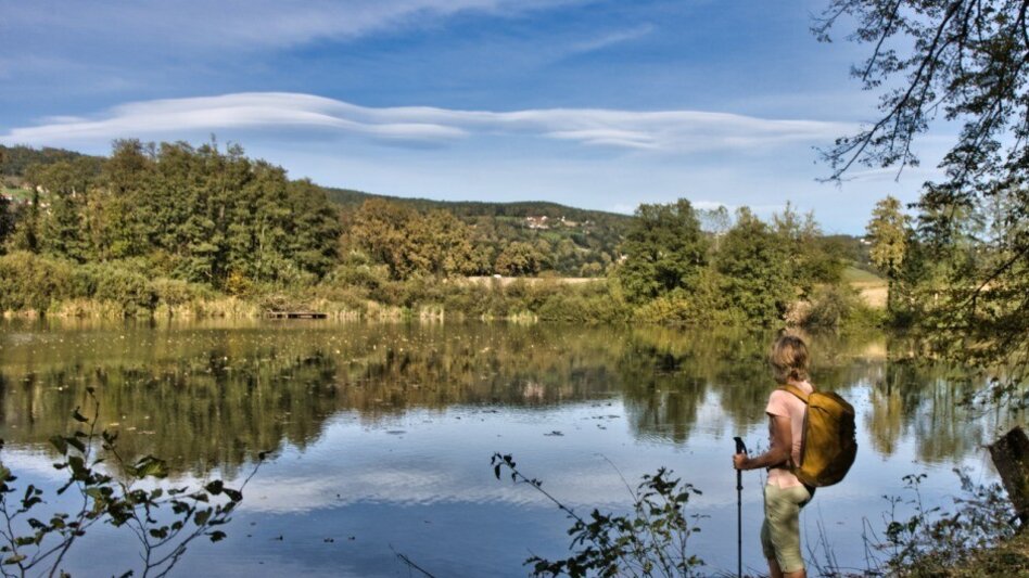 Hiking route Large Buschenschank round, Stubenberg - Touren-Impression #2.6