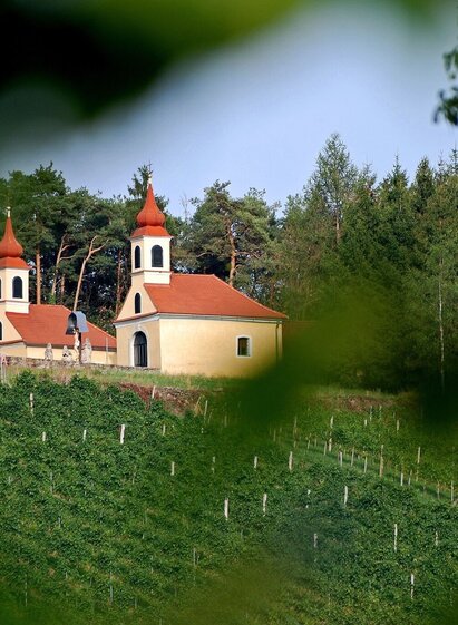 Weinberg mit Blick auf das Hl.Grab | © Oststeiermark Tourismus | Christian  Strassegger | © Oststeiermark Tourismus