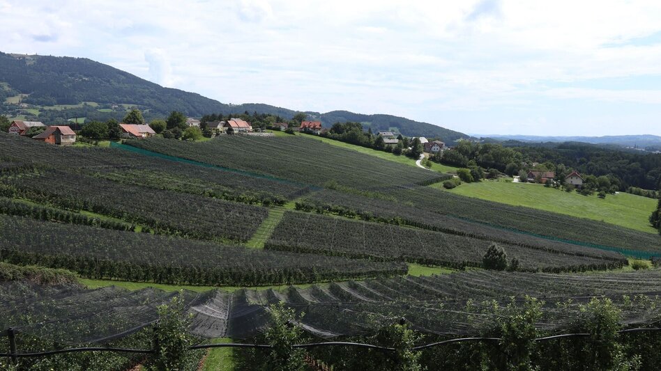 Hiking route Ilzbergrunde, Puch bei Weiz - Touren-Impression #2.9 | © Oststeiermark Tourismus