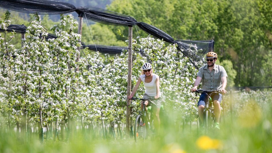 Hiking route Elzer Roas, Puch near Weiz - Touren-Impression #2.6 | © Steiermark Tourismus