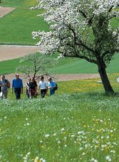 Wandern am Tram- Way | © Oststeiermark Tourismus | Tourismusverband Oststeiermark | © Oststeiermark Tourismus