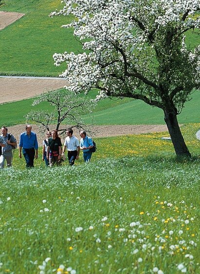 Wandern am Tram- Way | © Oststeiermark Tourismus | Tourismusverband Oststeiermark | © Oststeiermark Tourismus