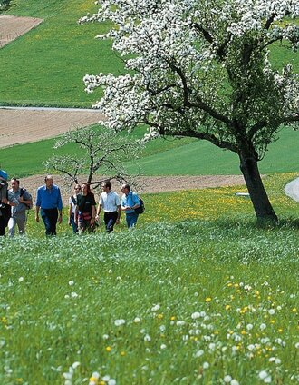 Wandern am Tram- Way | Tourismusverband Oststeiermark | © Oststeiermark Tourismus