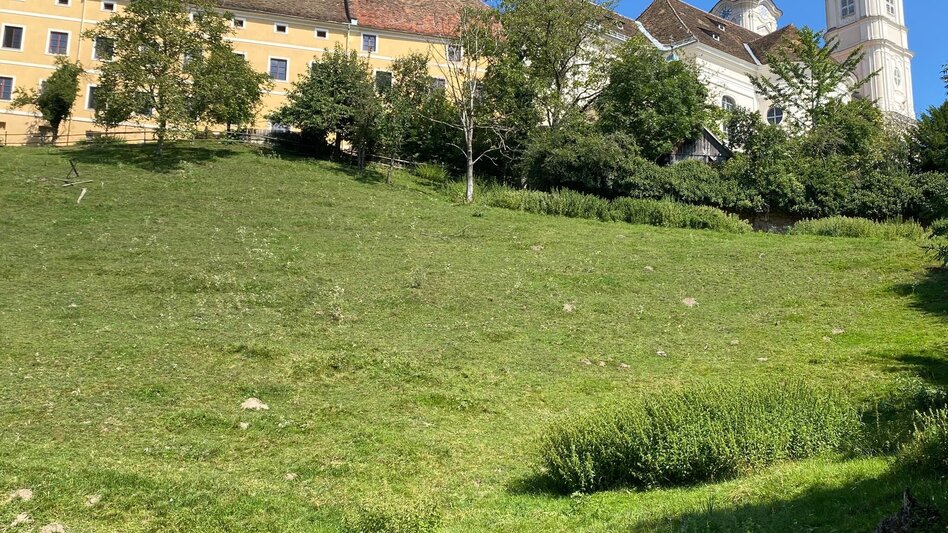 Theme path Spiritual Path, Weiz - Touren-Impression #2.10 | © Oststeiermark Tourismus