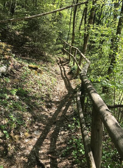 Wanderweg kleine Raabklamm | © Oststeiermark Tourismus | © Oststeiermark Tourismus