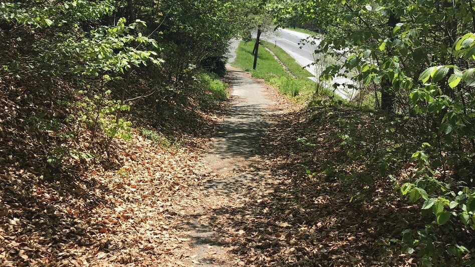 Hiking route Small Raabklamm, Mortantsch - Touren-Impression #2.2 | © Oststeiermark Tourismus