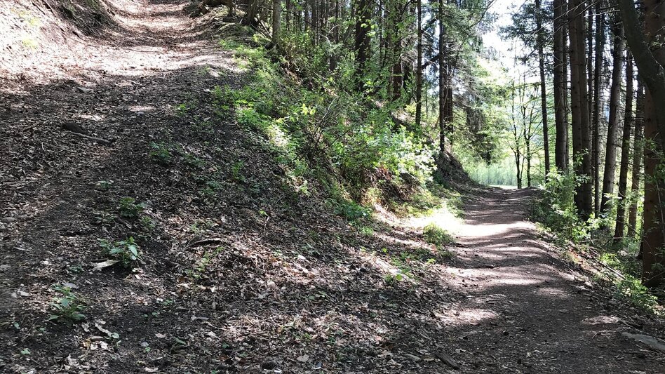Hiking route Small Raabklamm, Mortantsch - Touren-Impression #2.5 | © Oststeiermark Tourismus
