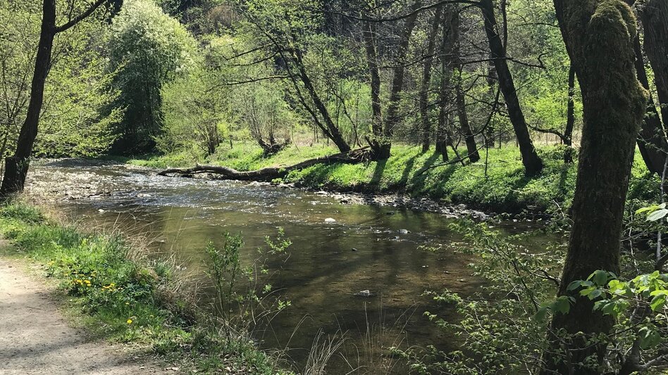 Hiking route Small Raabklamm, Mortantsch - Touren-Impression #2.7 | © Oststeiermark Tourismus