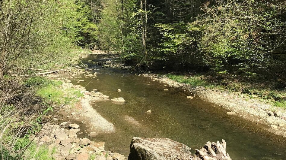 Hiking route Small Raabklamm, Mortantsch - Touren-Impression #2.8 | © Oststeiermark Tourismus