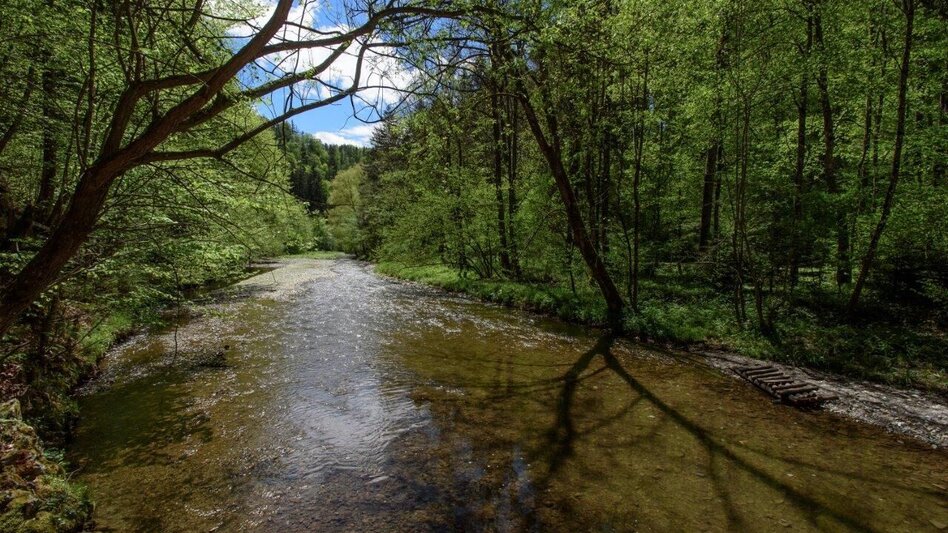 Hiking route Small Raabklamm, Mortantsch - Touren-Impression #2.9 | © Oststeiermark Tourismus