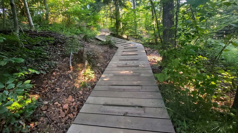 Hiking route Nature Adventure Trail, Weiz - Touren-Impression #2.3 | © Oststeiermark Tourismus