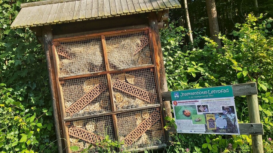 Hiking route Nature Adventure Trail, Weiz - Touren-Impression #2.4 | © Oststeiermark Tourismus