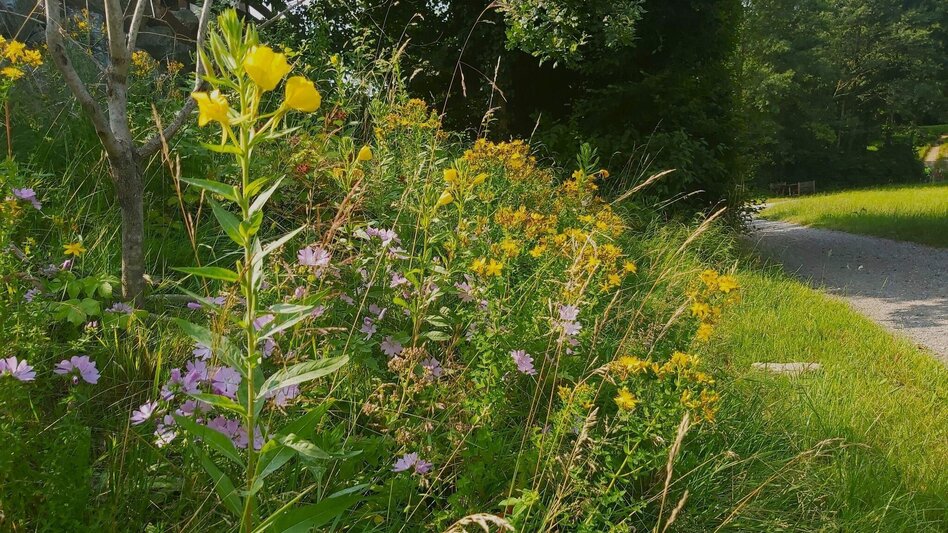 Hiking route Nature Adventure Trail, Weiz - Touren-Impression #2.7 | © Oststeiermark Tourismus