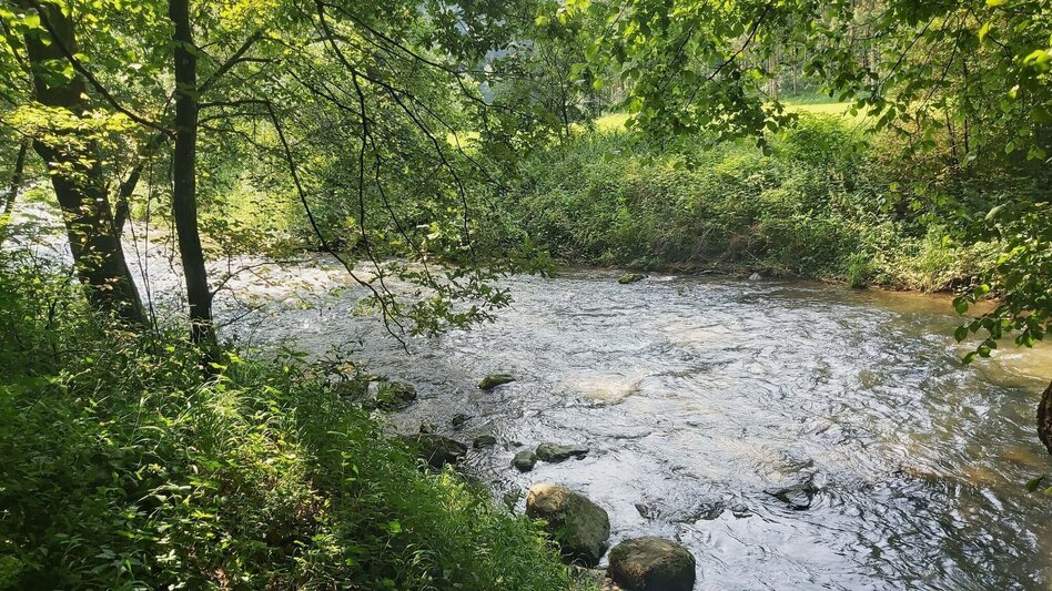 Hiking route Nature Adventure Trail, Weiz - Touren-Impression #2.10 | © Oststeiermark Tourismus