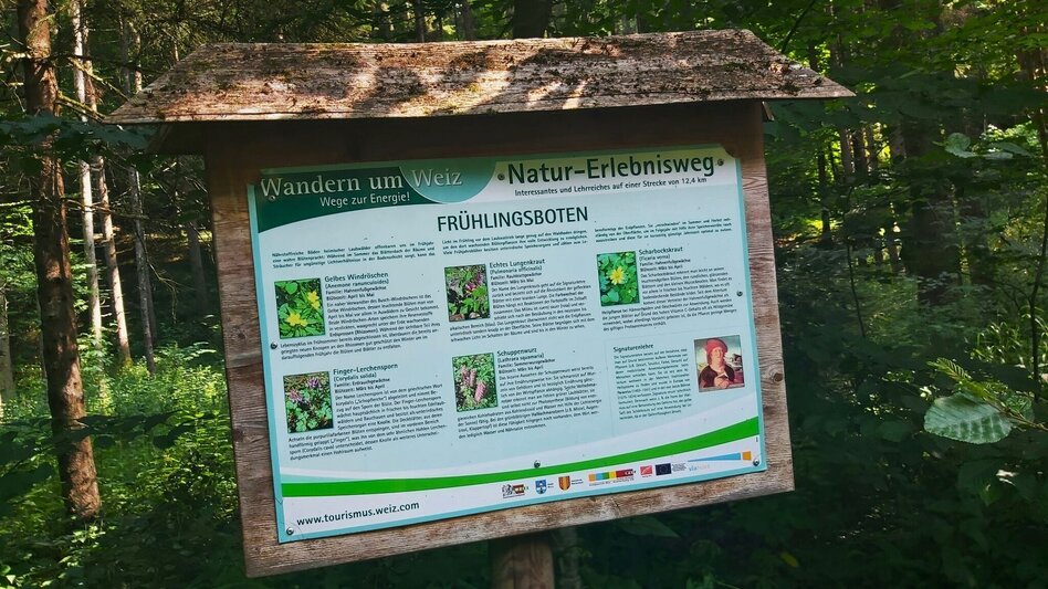 Hiking route Nature Adventure Trail, Weiz - Touren-Impression #2.12 | © Oststeiermark Tourismus