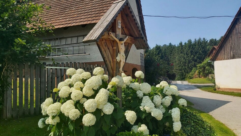 Hiking route Nature Adventure Trail, Weiz - Touren-Impression #2.13 | © Oststeiermark Tourismus