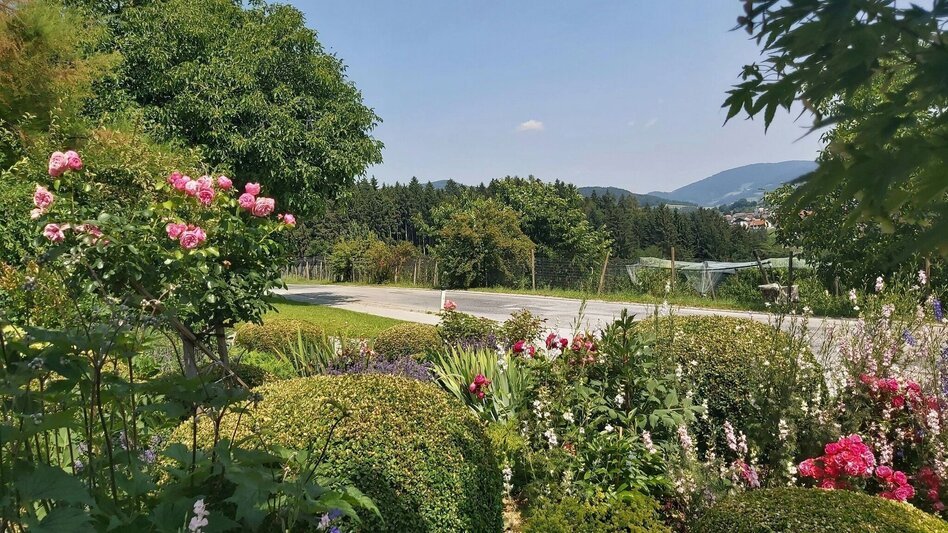 Hiking route Nature Adventure Trail, Weiz - Touren-Impression #2.14 | © Oststeiermark Tourismus