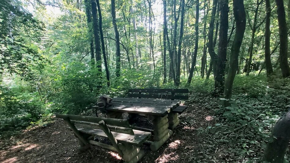 Hiking route Nature Adventure Trail, Weiz - Touren-Impression #2.15 | © Oststeiermark Tourismus