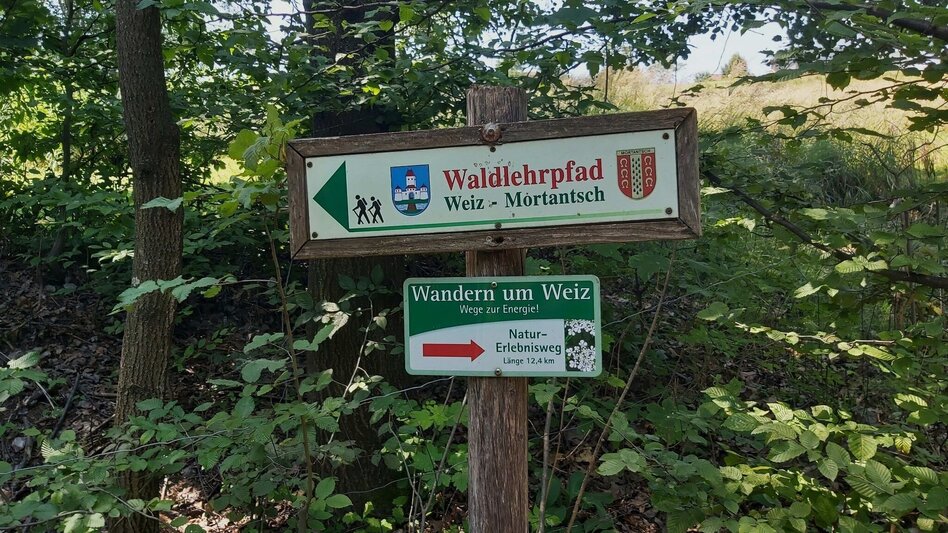 Hiking route Nature Adventure Trail, Weiz - Touren-Impression #2.17 | © Oststeiermark Tourismus