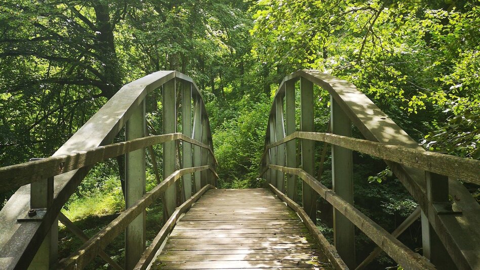 Wanderung Große Raabklamm, Mortantsch - Touren-Impression #2.4 | © Oststeiermark Tourismus