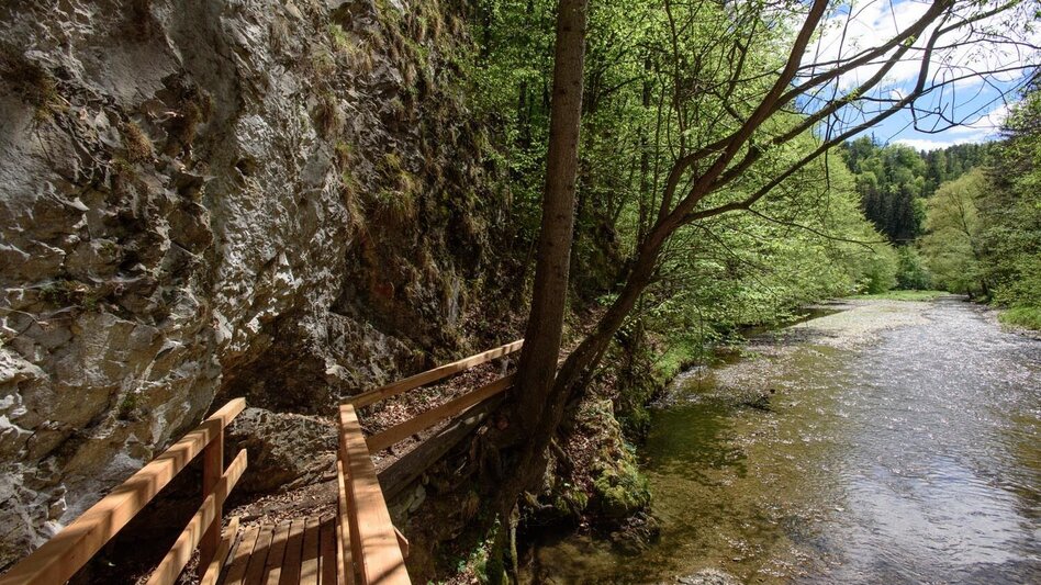 Wanderung Große Raabklamm, Mortantsch - Touren-Impression #2.5 | © (c) Günther Steininger