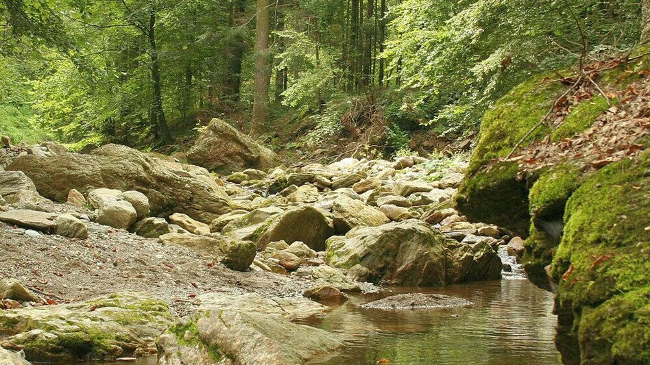 Wanderung Große Raabklamm, Mortantsch - Touren-Impression #2.7 | © Oststeiermark Tourismus