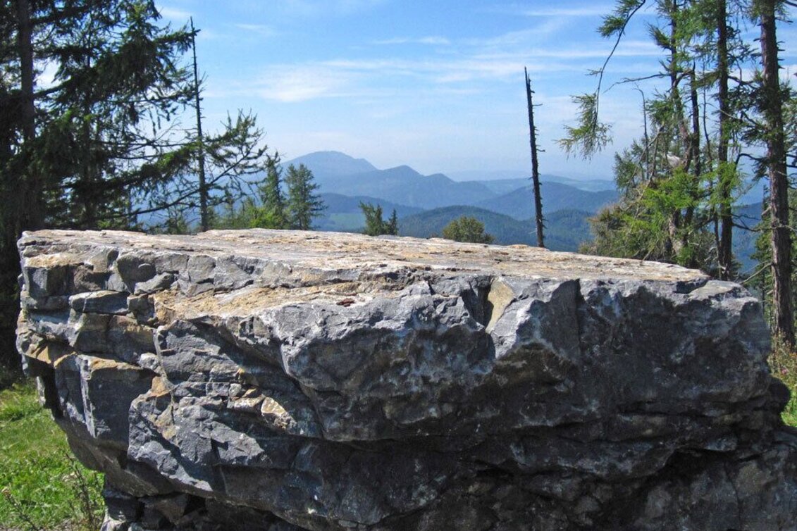 Hiking route Zetzweg via Raas - Touren-Impression #1 | © Oststeiermark Tourismus