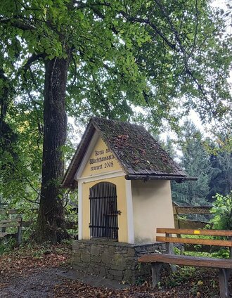 Wachthaussattel im Naturpark Almenland in der Oststeiermark | Christine Pollhammer | © TVB Oststeiermark
