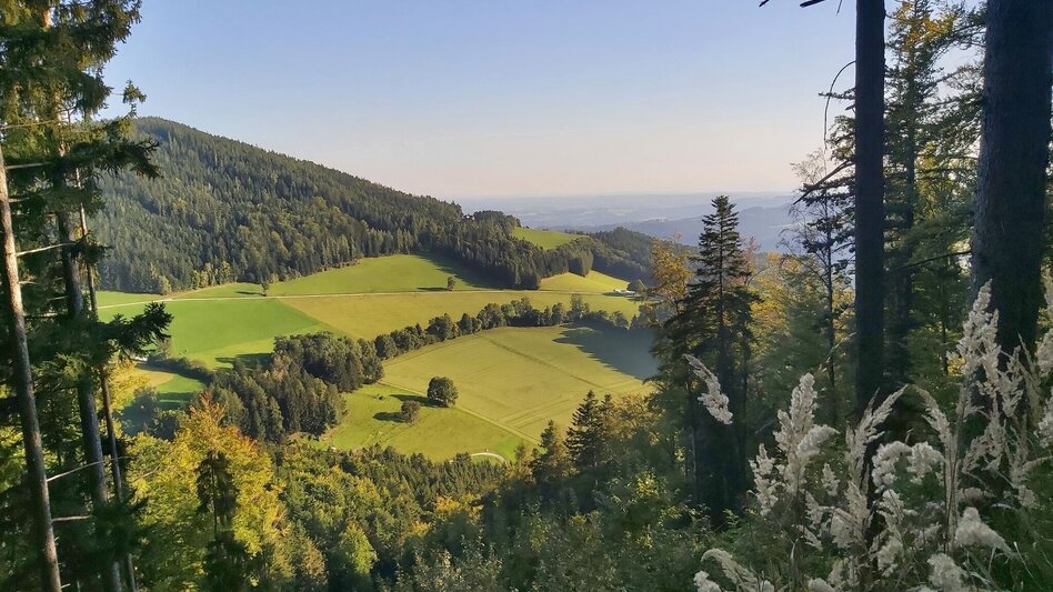 Hiking route Naas Cave Trail - Touren-Impression #2.10 | © Oststeiermark Tourismus