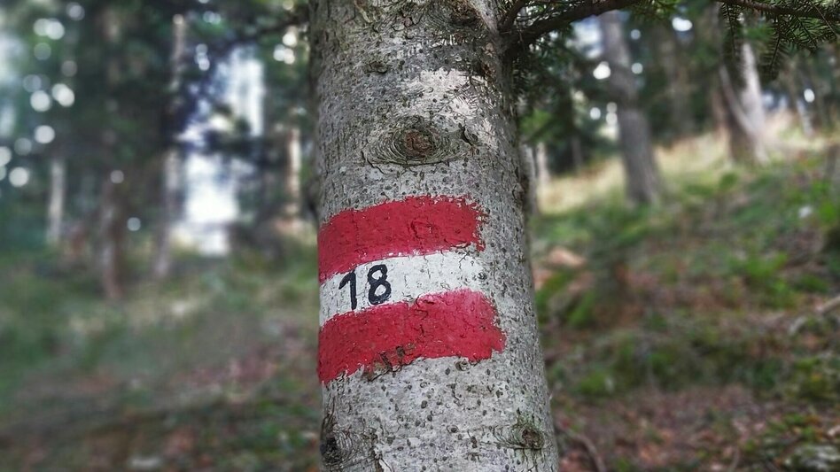 Hiking route Naas Cave Trail - Touren-Impression #2.3 | © Oststeiermark Tourismus