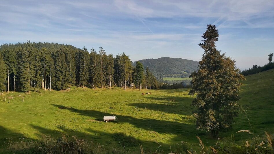 Hiking route Naas Cave Trail - Touren-Impression #2.6 | © Oststeiermark Tourismus