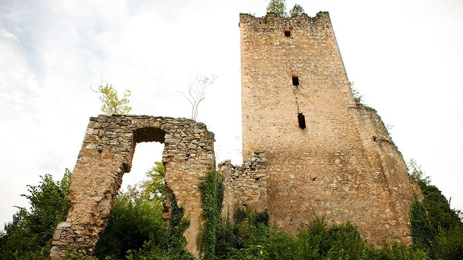 Wanderung Familienrundwanderweg nach Naas - Touren-Impression #2.1 | © Oststeiermark Tourismus