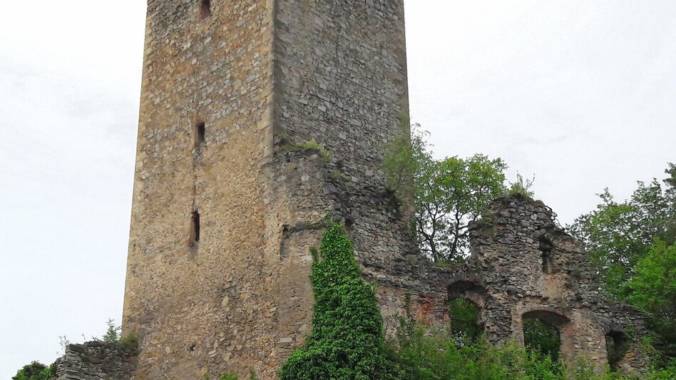 Wanderung Familienrundwanderweg nach Naas - Touren-Impression #2.2 | © Oststeiermark Tourismus