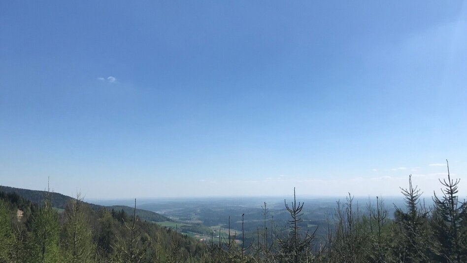 Wanderung Gösser und Lärchsattel - Touren-Impression #2.1 | © Oststeiermark Tourismus