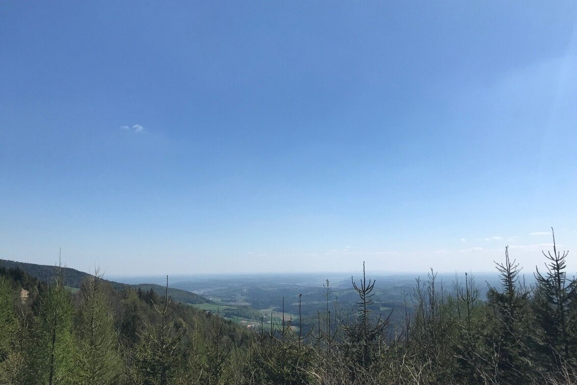 Wanderung Gösser und Lärchsattel - Touren-Impression #1 | © Oststeiermark Tourismus