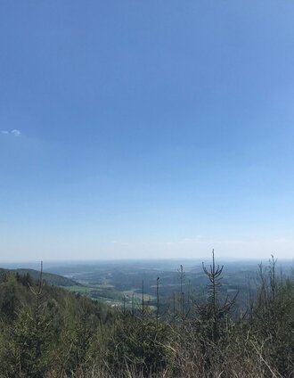 Ausblick vom Gössersattel | © Oststeiermark Tourismus