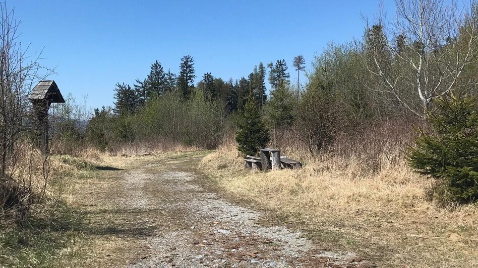 Wanderung Gösser und Lärchsattel - Touren-Impression #2.5 | © Oststeiermark Tourismus