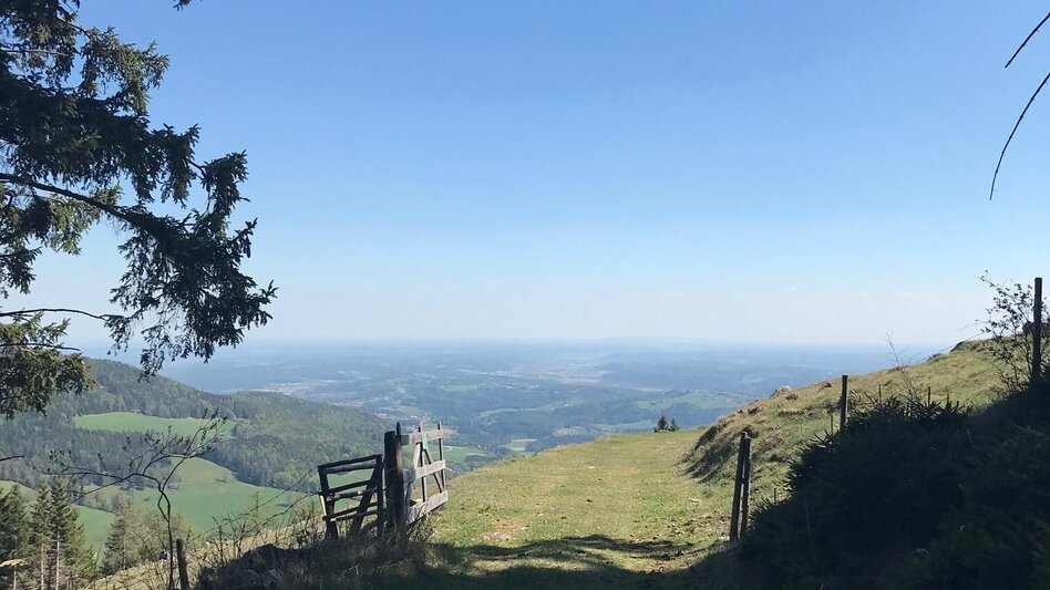 Wanderung Gösser und Lärchsattel - Touren-Impression #2.6 | © Oststeiermark Tourismus