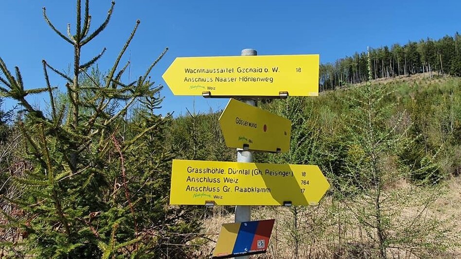 Wanderung Gösser und Lärchsattel - Touren-Impression #2.8 | © (c) Günther Steininger