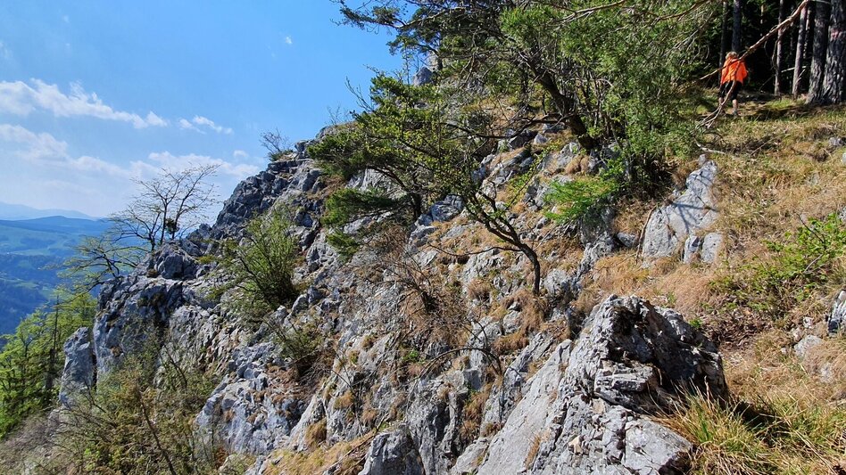 Wanderung Gösser und Lärchsattel - Touren-Impression #2.11 | © (c) Günther Steininger