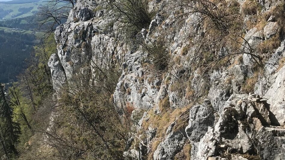 Wanderung Gösser und Lärchsattel - Touren-Impression #2.3 | © Oststeiermark Tourismus