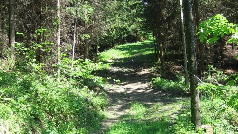 Wanderung Mariazellerweg zur Brandlucken - Touren-Impression #2.1 | © Oststeiermark Tourismus