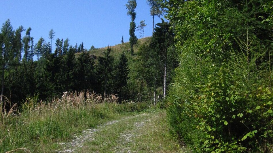 Wanderung Eibisberg über Ponigl - Touren-Impression #2.1 | © Oststeiermark Tourismus
