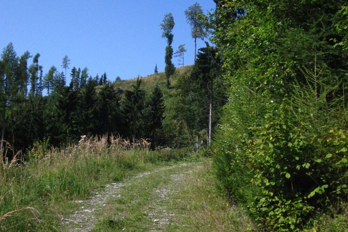 Wanderung Eibisberg über Ponigl - Touren-Impression #1 | © Oststeiermark Tourismus