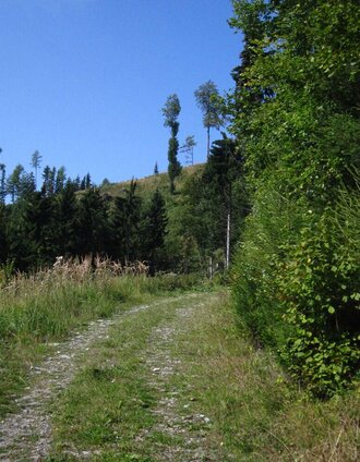 Eibisberg über Ponigl, Oststeiermark | © Oststeiermark Tourismus