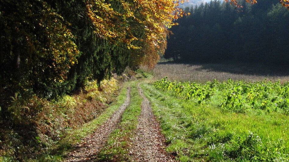 Jogging St. Ruprecht - Fitnesslaufstrecke - Touren-Impression #2.1 | © Oststeiermark Tourismus