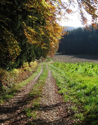 St. Ruprecht Fitnesslauf | © Oststeiermark Tourismus